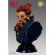 Street Fighter Bust Akuma 25 cm --- DAMAGED PACKAGING